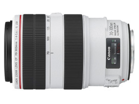 佳能 EF 70-300mm f/4-5.6L IS USM 回收